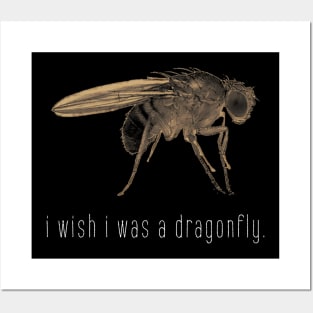 i wish i was a dragonfly Posters and Art